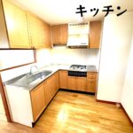 ナビシティ津島 (キッチン) ナビシティ津島 (キッチン)